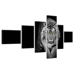 Obraz na plátne Nebezpečný tiger v tme 180x100cm 2359A_6E