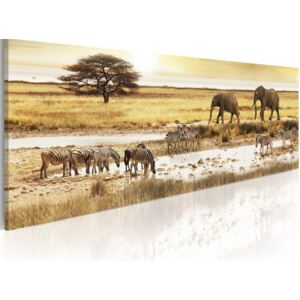 Obraz na plátne - Africa: at the waterhole 120x40 cm