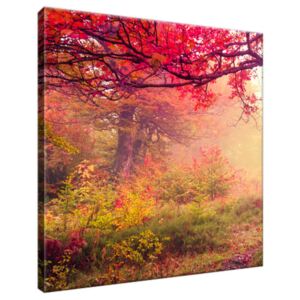 Obraz na plátne Jesenná príroda 30x30cm 2510A_1AI