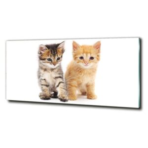 Foto-obraz sklo tvrdené Hnedá a červená mačka cz-obglass-125x50-101681955