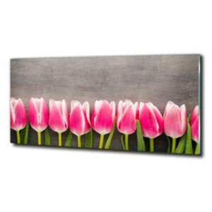 Foto obraz sklo tvrdené Ružové tulipány cz-obglass-125x50-102142486