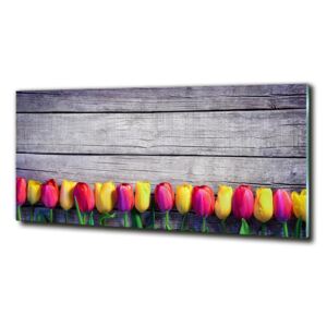 Foto obraz sklenený horizontálne Tulipány na strome cz-obglass-125x50-103218042