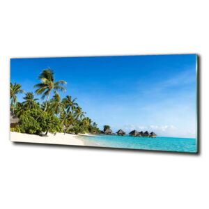 Fotoobraz na skle Pláž na Karibských ostrovoch cz-obglass-125x50-112295720