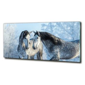 Fotoobraz na skle Zima sivý kôň cz-obglass-125x50-116887257