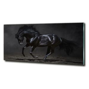 Foto obraz sklo tvrdené Čierny kôň cz-obglass-125x50-47712826