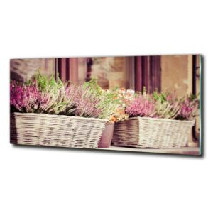 Foto-obraz sklo tvrdené Levanduľa v kvetináči cz-obglass-125x50-57811741