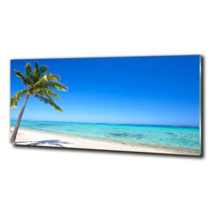 Fotoobraz na skle Tropická pláž cz-obglass-125x50-60645814