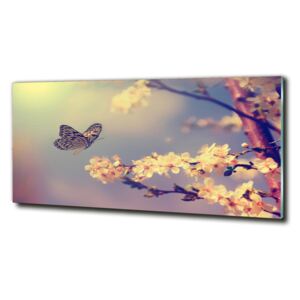 Foto-obraz fotografie na skle Kvet Visty a motýľ cz-obglass-125x50-72331211