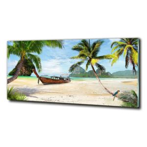 Foto obraz sklo tvrdené Palmy na pláži cz-obglass-125x50-74626078