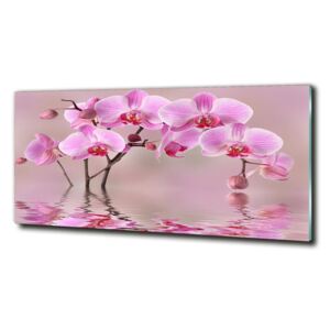 Moderné foto obraz na stenu Ružová orchidea cz-obglass-125x50-79883275