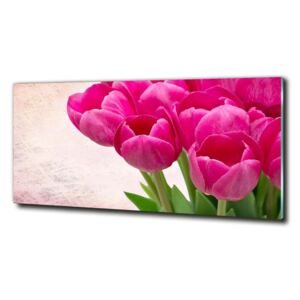 Foto-obraz fotografie na skle Ružové tulipány cz-obglass-125x50-90952565