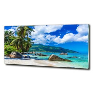 Foto obraz sklo tvrdené Seychely pláž cz-obglass-125x50-98176668