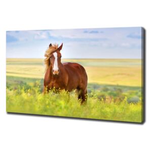 Foto obraz na plátne do obýváčky Hnedý kôň pl-oc-100x70-f-111439137