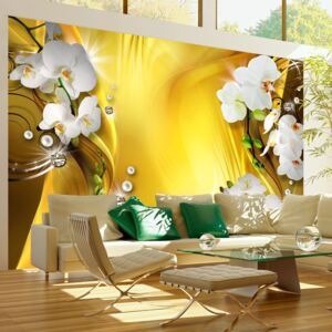 Artgeist Fototapeta - Orchid in Gold 200x140