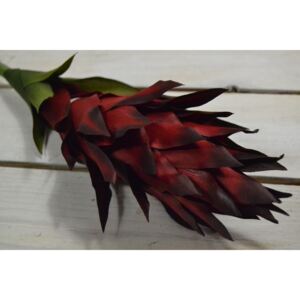 Umelý kvet kurkuma - červená (V:90cm) 061 veľkosť