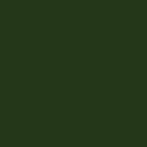 Metráž látka bavlna jednofarebná zelená sosnová | RTex