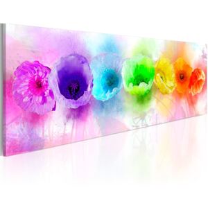 Obraz - Rainbow-hued poppies 120x40