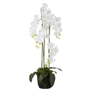 Orchidea biela v kvetináči dekorácia MODERN LUXURY