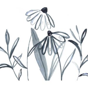Ilustrácia Echinacea meadow, Laura Irwin