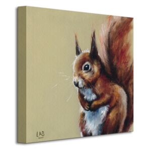 Obraz na plátne Zvedavá veverička Brown Louise 40x40cm WDC95269