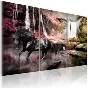 Obraz na plátne - Black horse by a waterfall 60x40 cm