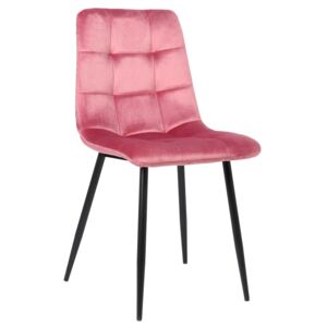 Jedálenská stolička Tilde ~ zamat, kovové nohy čierne Farba Ružová