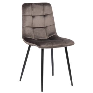 Jedálenská stolička Tilde ~ zamat, kovové nohy čierne Farba Sivá