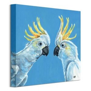 Obraz na plátne Dva papagáje Brown Louise 40x40cm WDC101098