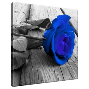 Obraz na plátne Modrá ruža na podlahe 30x30cm 2214A_1AI