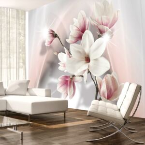 Fototapeta - White magnolias 400x280 cm