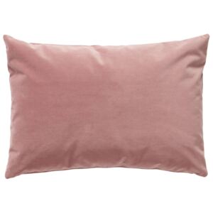 Velurový polštář Soft Pink 60 x 40 cm