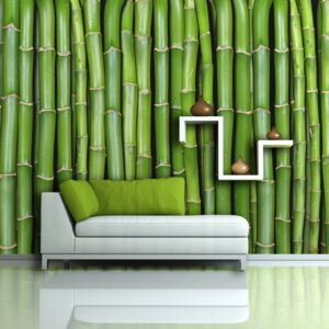 Fototapeta XXL Bimago - Bamboo zeď + lepidlo zadarmo 450x270 cm