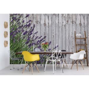 Fototapeta - Lavender Rustic Wood Planks Vintage Design Vliesová tapeta - 416x254 cm