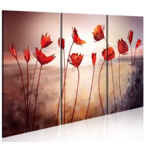Obraz na plátne - Bright red poppies 60x40 cm