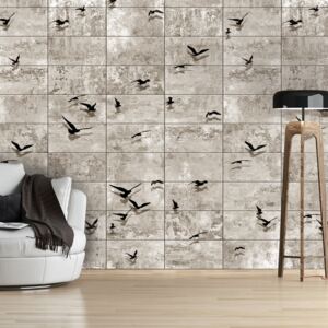 Tapeta na stenu - Bird Migrations role 50x1000 cm