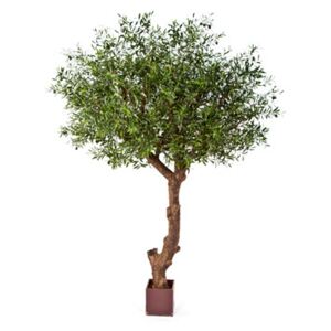 Umelý olivovník na kmeni (natural olive tree poly trunk) V270 cm