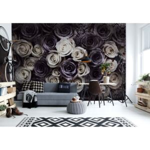 Fototapeta GLIX - Gothic Roses Dark Purple + lepidlo ZADARMO Vliesová tapeta - 416x254 cm