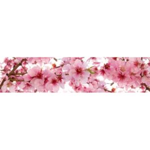 Tapeta za kuchynskú linku - Květy jabloní 260x60cm