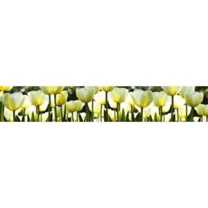 Tapeta za kuchynskú linku - Biele tulipány 350x60cm