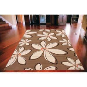 Kusový koberec PP Kvety kávový, Velikosti 120x170cm