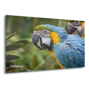 Sklenený obraz - Bright Macaw 4 x 30x80 cm