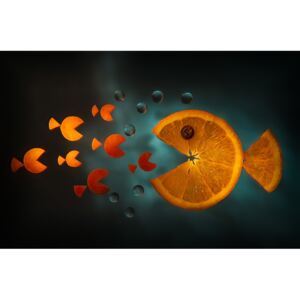 Umelecká fotografia Orange fish, Aida Ianeva