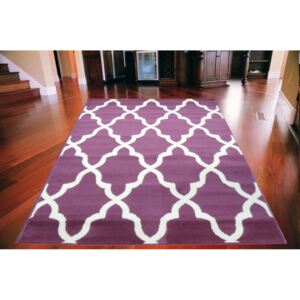 Kusový koberec PP Marakes fialový, Velikosti 120x170cm