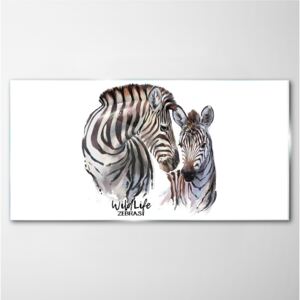 Skleneny obraz Skleneny obraz Zebra zvierat prúžky