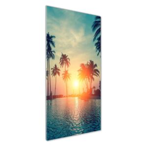 Foto obraz akrylové sklo Tropická pláž pl-oa-50x125-f-118937012