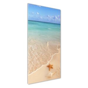 Foto obraz akrylový Hviezdice na pláži pl-oa-50x125-f-23665929