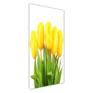 Foto obraz akryl do obývačky Žlté tulipány pl-oa-50x125-f-50296445