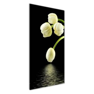 Foto obraz akryl do obývačky Biele tulipány pl-oa-50x125-f-53318527
