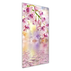 Foto obraz akrylový na stenu Orchidea pl-oa-50x125-f-65501947