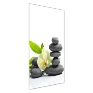 Foto obraz akrylový Orchidea a kamene pl-oa-50x125-f-68592259